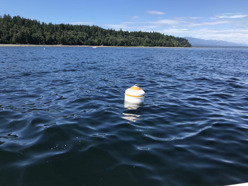 Transport Canada Compliant Mooring Buoys For Sale! Tidal Marine