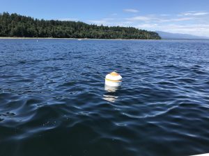 mooring buoy